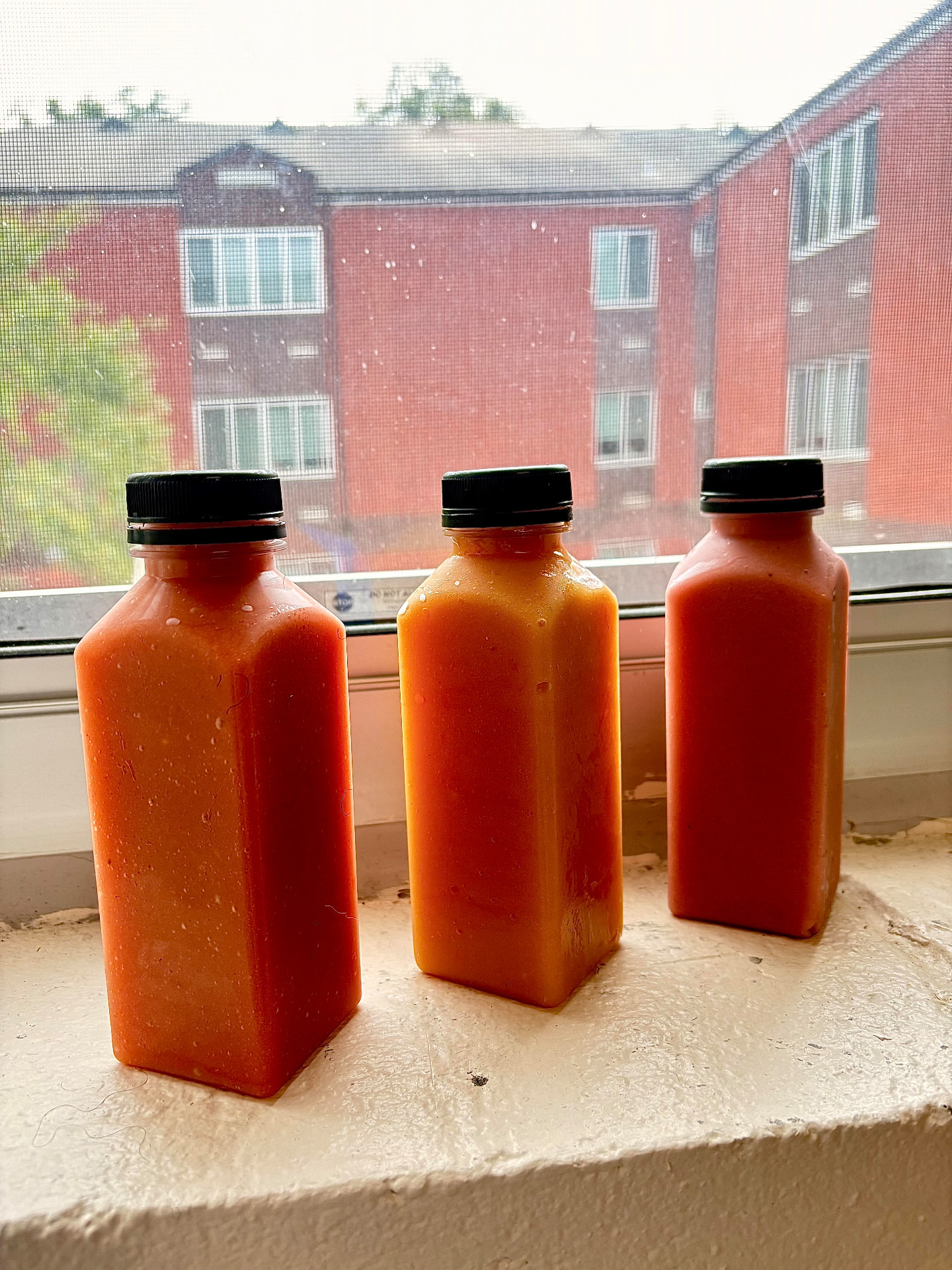 Three homemade smoothies in bottles on a sunny windowsill